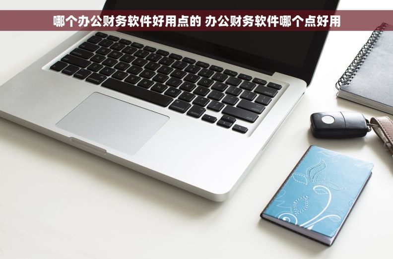 哪个办公财务软件好用点的 办公财务软件哪个点好用