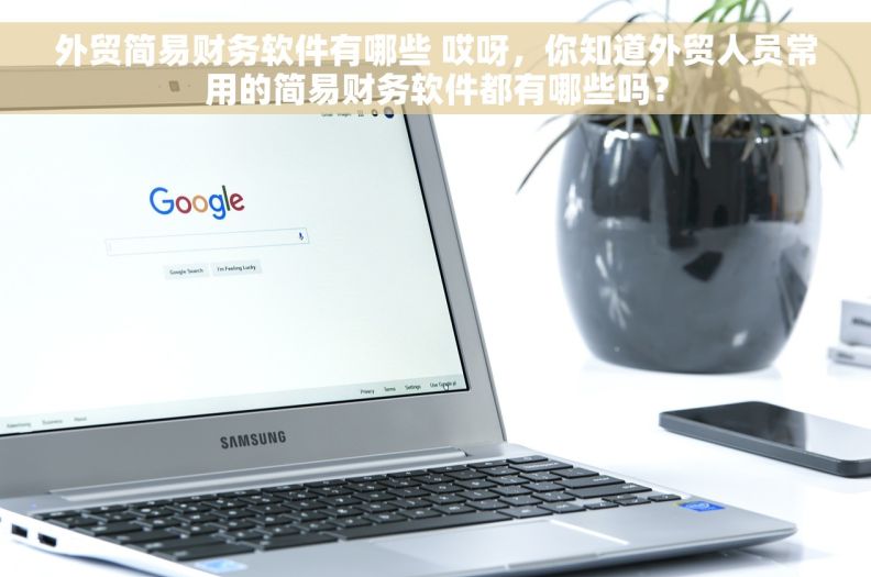 外贸简易财务软件有哪些 哎呀，你知道外贸人员常用的简易财务软件都有哪些吗？