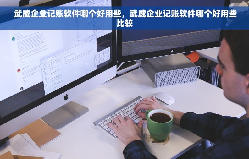  武威企业记账软件哪个好用些，武威企业记账软件哪个好用些比较
