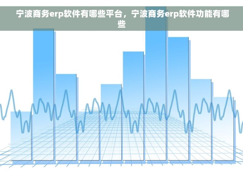  宁波商务erp软件有哪些平台，宁波商务erp软件功能有哪些