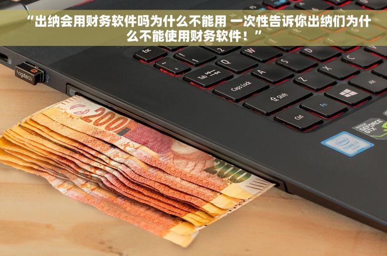 “出纳会用财务软件吗为什么不能用 一次性告诉你出纳们为什么不能使用财务软件！”