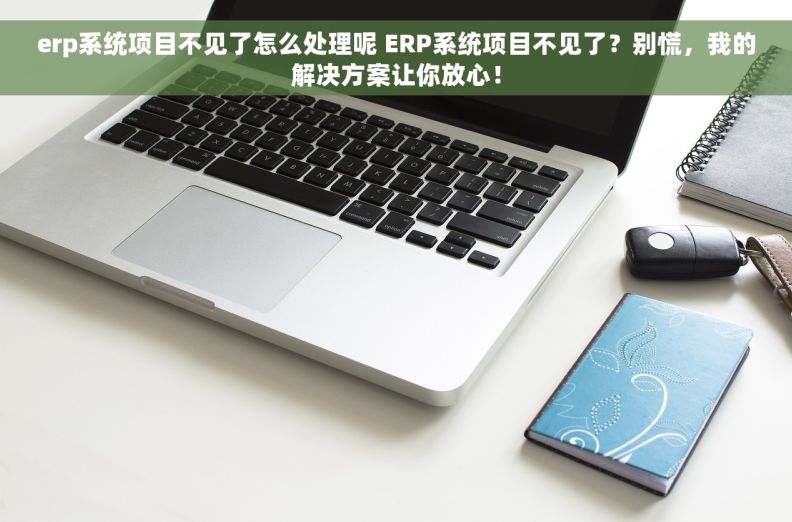 erp系统项目不见了怎么处理呢 ERP系统项目不见了？别慌，我的解决方案让你放心！