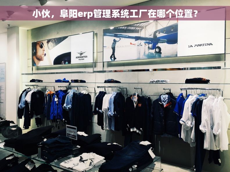 小伙，阜阳erp管理系统工厂在哪个位置？