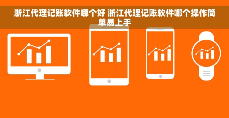 浙江代理记账软件哪个好 浙江代理记账软件哪个操作简单易上手