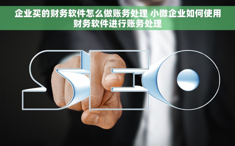 企业买的财务软件怎么做账务处理 小微企业如何使用财务软件进行账务处理