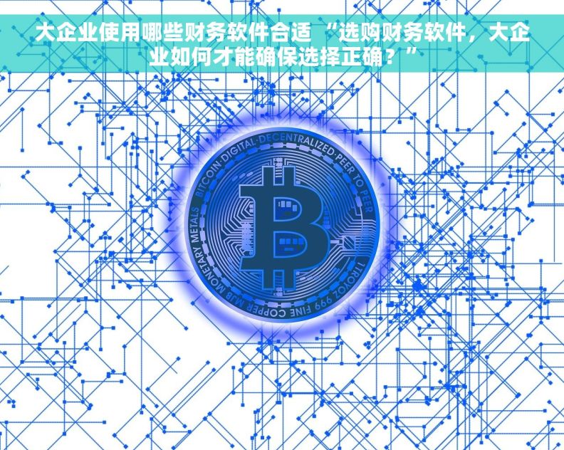 大企业使用哪些财务软件合适 “选购财务软件，大企业如何才能确保选择正确？”