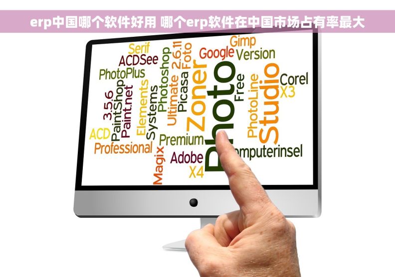 erp中国哪个软件好用 哪个erp软件在中国市场占有率最大