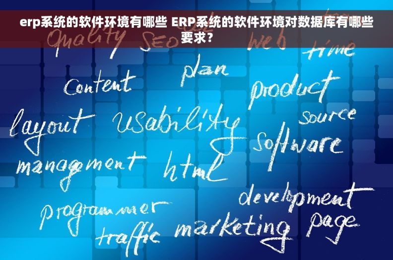 erp系统的软件环境有哪些 ERP系统的软件环境对数据库有哪些要求？