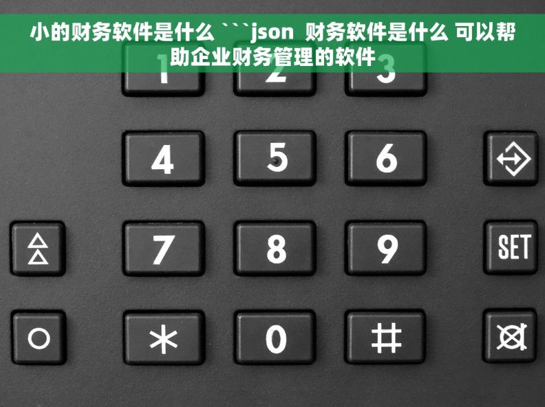 小的财务软件是什么 ```json  财务软件是什么 可以帮助企业财务管理的软件