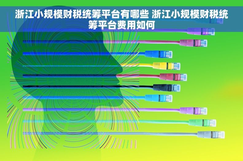 浙江小规模财税统筹平台有哪些 浙江小规模财税统筹平台费用如何