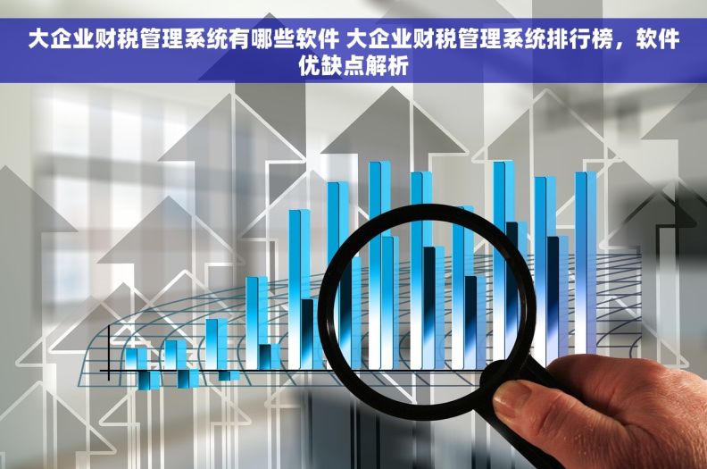 大企业财税管理系统有哪些软件 大企业财税管理系统排行榜，软件优缺点解析