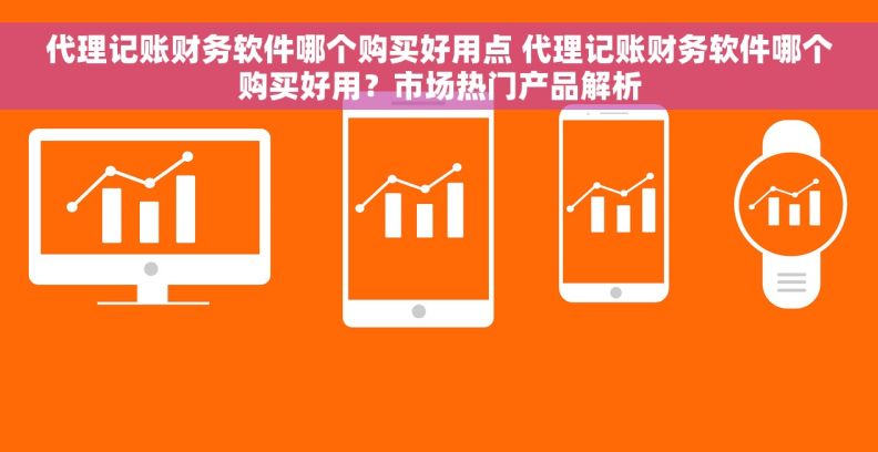 代理记账财务软件哪个购买好用点 代理记账财务软件哪个购买好用？市场热门产品解析