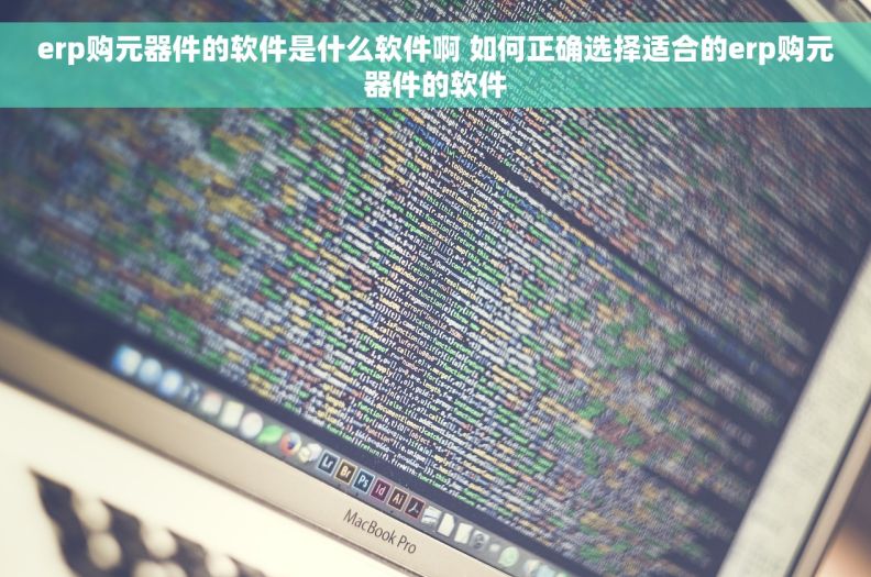 erp购元器件的软件是什么软件啊 如何正确选择适合的erp购元器件的软件