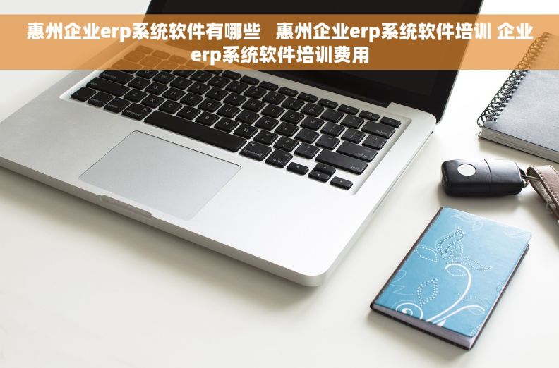 惠州企业erp系统软件有哪些   惠州企业erp系统软件培训 企业erp系统软件培训费用
