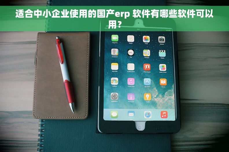适合中小企业使用的国产erp 软件有哪些软件可以用？