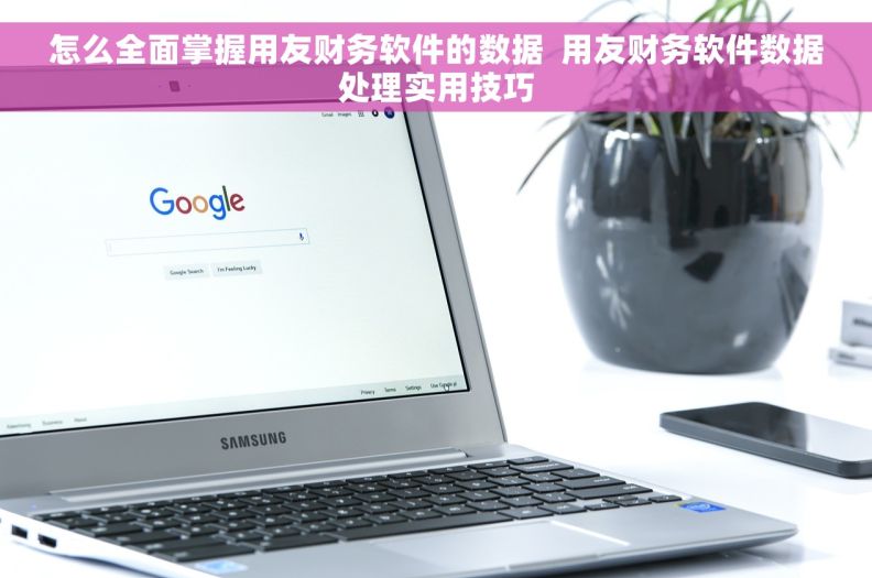 怎么全面掌握用友财务软件的数据  用友财务软件数据处理实用技巧