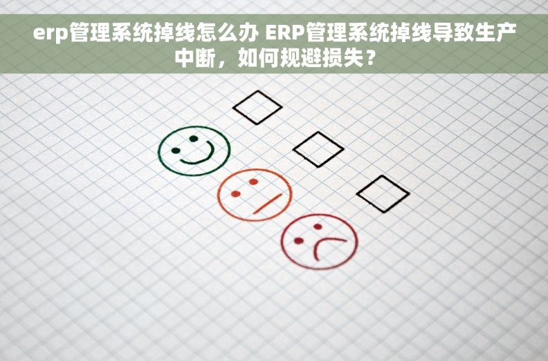 erp管理系统掉线怎么办 ERP管理系统掉线导致生产中断，如何规避损失？