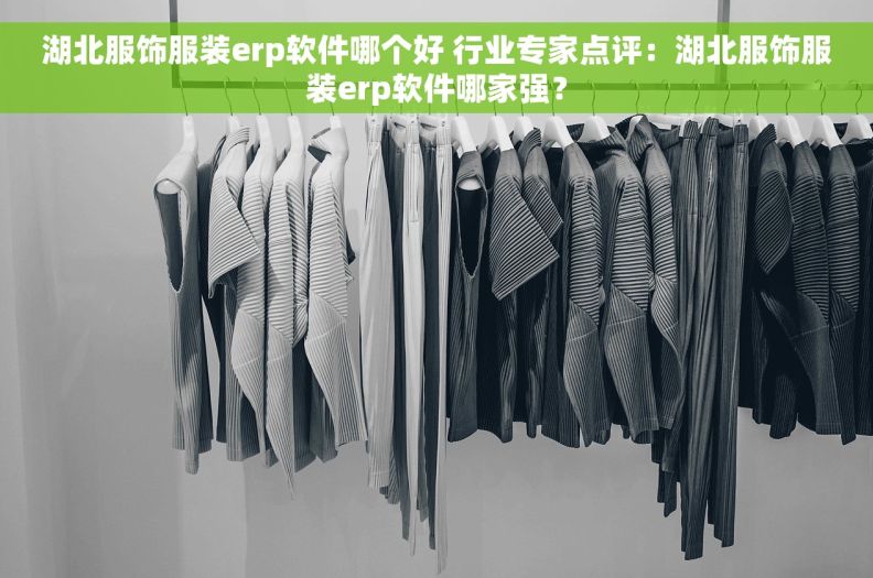 湖北服饰服装erp软件哪个好 行业专家点评：湖北服饰服装erp软件哪家强？
