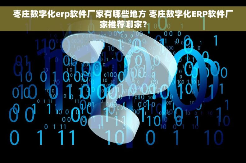 枣庄数字化erp软件厂家有哪些地方 枣庄数字化ERP软件厂家推荐哪家？