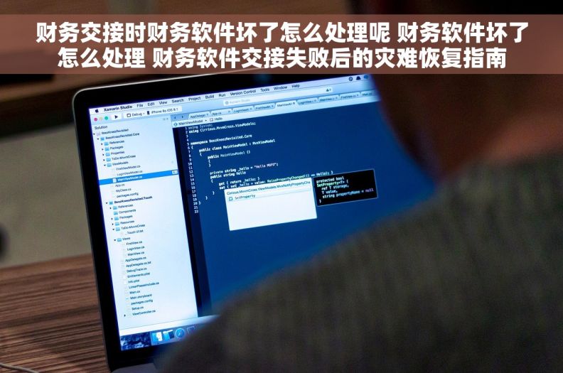 财务交接时财务软件坏了怎么处理呢 财务软件坏了怎么处理 财务软件交接失败后的灾难恢复指南