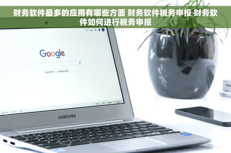 财务软件最多的应用有哪些方面 财务软件税务申报 财务软件如何进行税务申报