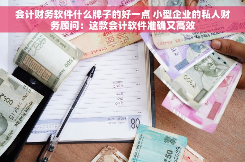 会计财务软件什么牌子的好一点 小型企业的私人财务顾问：这款会计软件准确又高效
