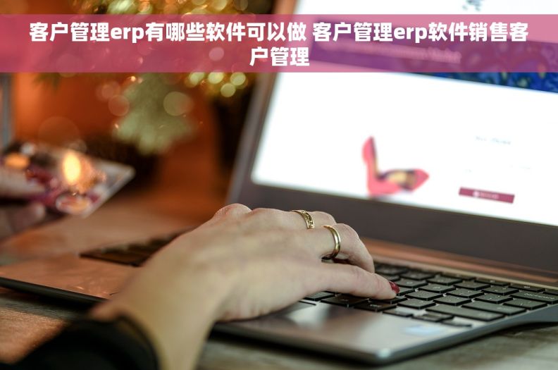 客户管理erp有哪些软件可以做 客户管理erp软件销售客户管理