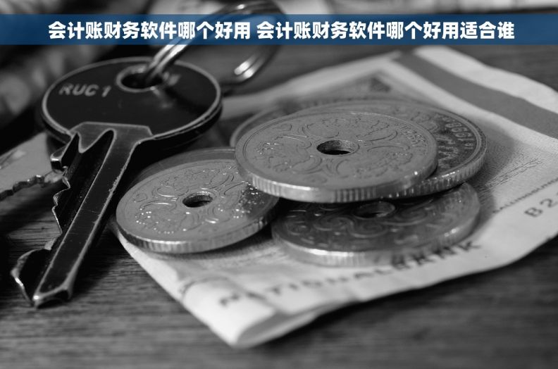  会计账财务软件哪个好用 会计账财务软件哪个好用适合谁
