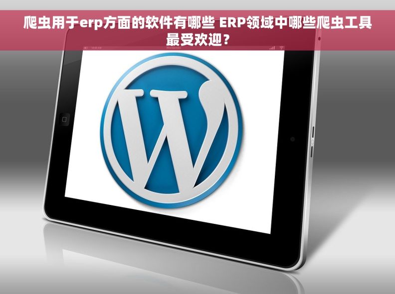 爬虫用于erp方面的软件有哪些 ERP领域中哪些爬虫工具最受欢迎？