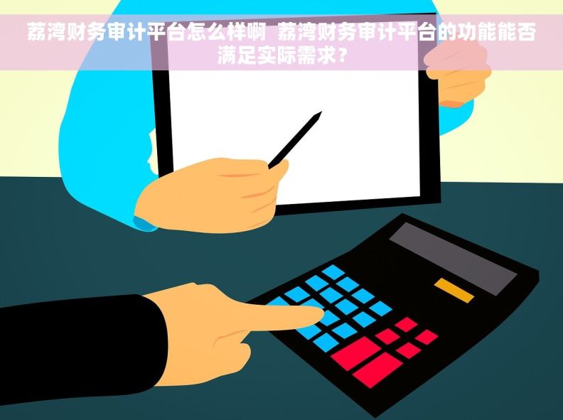 荔湾财务审计平台怎么样啊  荔湾财务审计平台的功能能否满足实际需求？