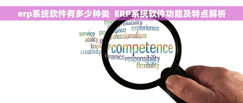 erp系统软件有多少种类  ERP系统软件功能及特点解析