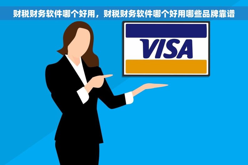 财税财务软件哪个好用，财税财务软件哪个好用哪些品牌靠谱