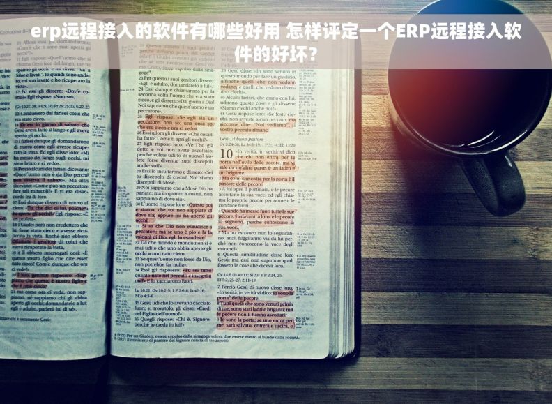 erp远程接入的软件有哪些好用 怎样评定一个ERP远程接入软件的好坏？