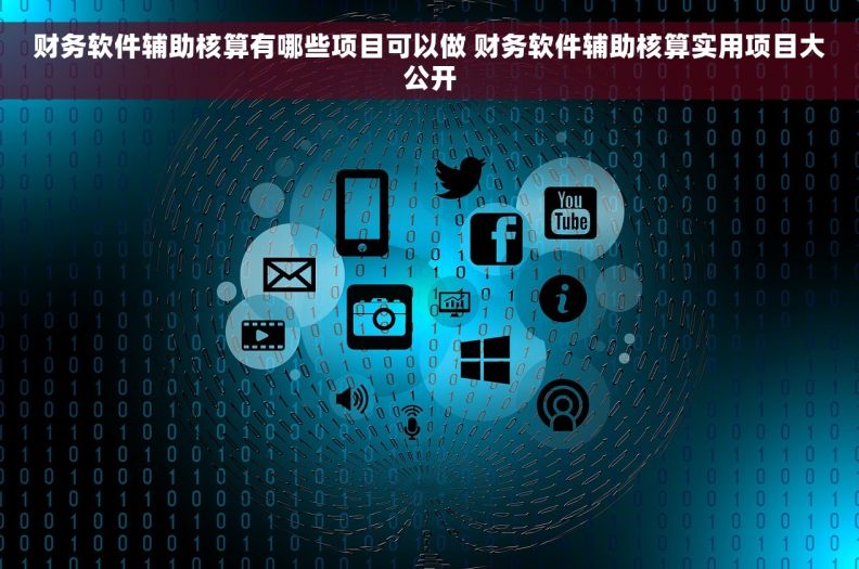 财务软件辅助核算有哪些项目可以做 财务软件辅助核算实用项目大公开