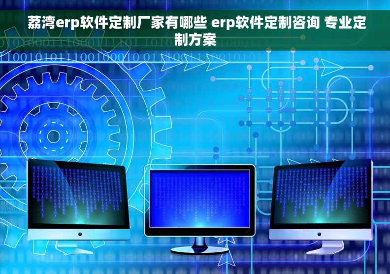  荔湾erp软件定制厂家有哪些 erp软件定制咨询 专业定制方案