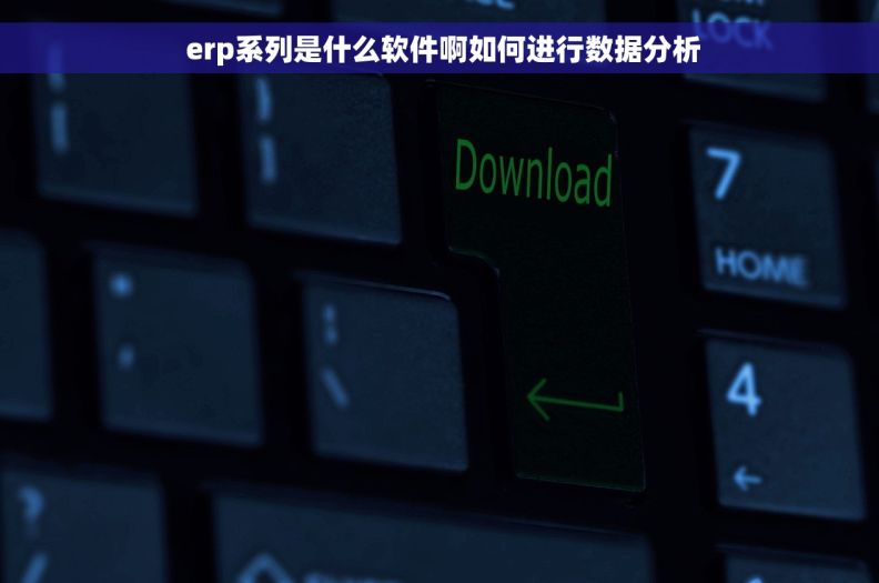 erp系列是什么软件啊如何进行数据分析