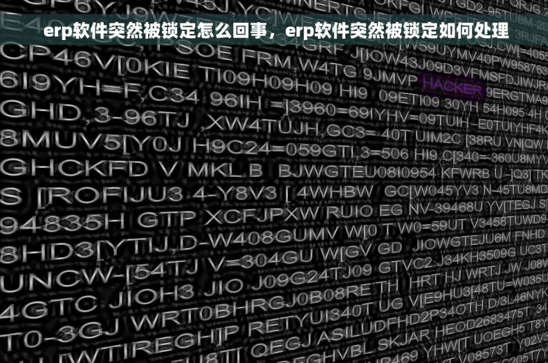  erp软件突然被锁定怎么回事，erp软件突然被锁定如何处理
