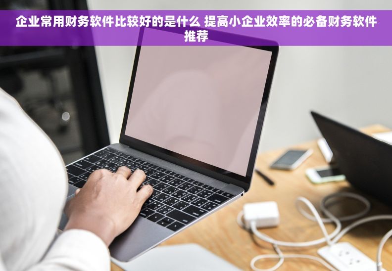 企业常用财务软件比较好的是什么 提高小企业效率的必备财务软件推荐
