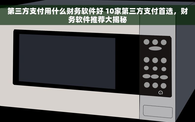第三方支付用什么财务软件好 10家第三方支付首选，财务软件推荐大揭秘