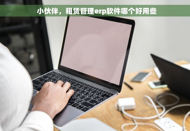   小伙伴，租赁管理erp软件哪个好用些