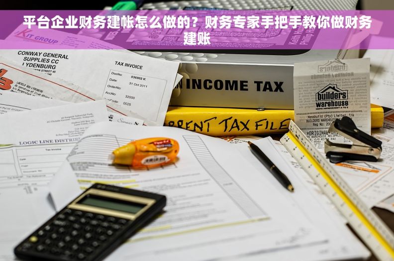 平台企业财务建帐怎么做的？财务专家手把手教你做财务建账