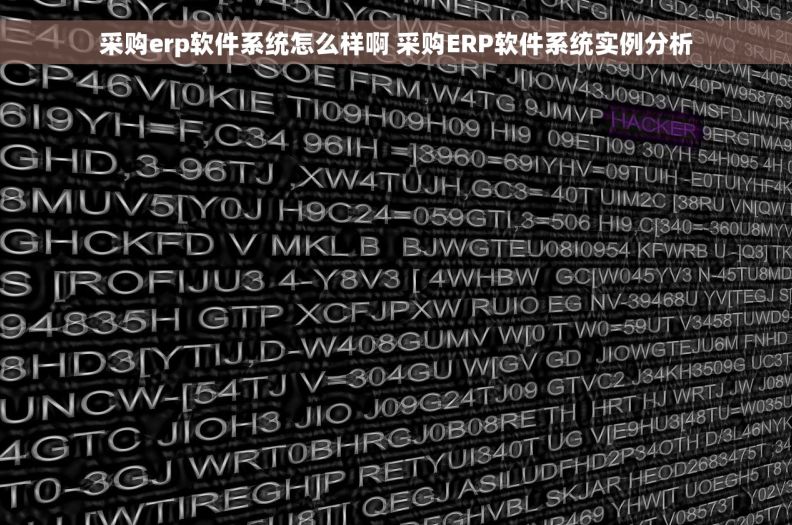 采购erp软件系统怎么样啊 采购ERP软件系统实例分析