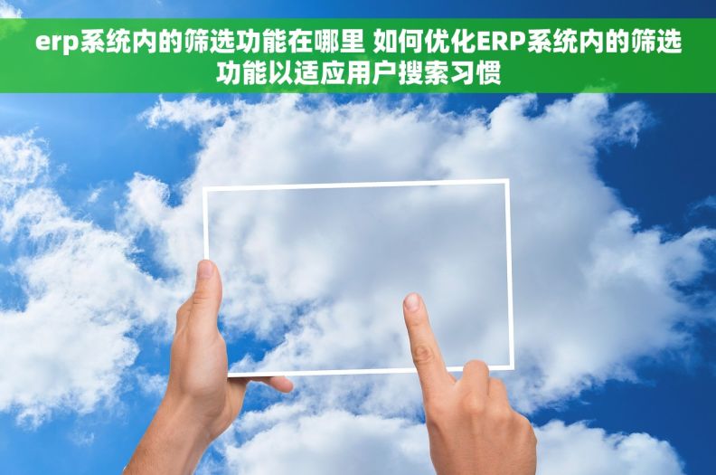 erp系统内的筛选功能在哪里 如何优化ERP系统内的筛选功能以适应用户搜索习惯