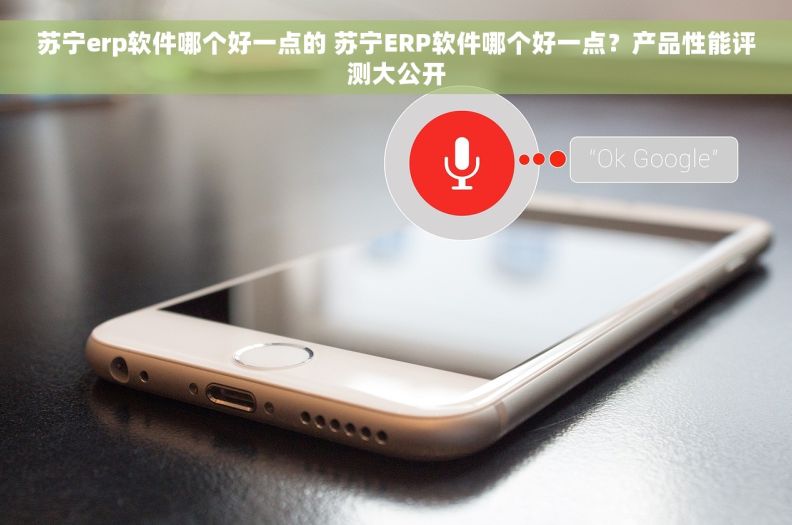 苏宁erp软件哪个好一点的 苏宁ERP软件哪个好一点？产品性能评测大公开