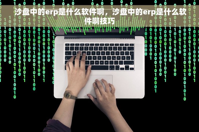  沙盘中的erp是什么软件啊，沙盘中的erp是什么软件啊技巧