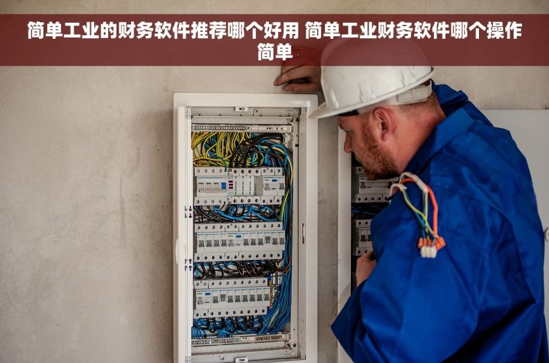 简单工业的财务软件推荐哪个好用 简单工业财务软件哪个操作简单