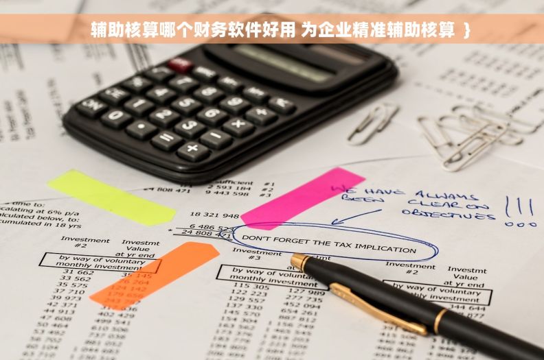     辅助核算哪个财务软件好用 为企业精准辅助核算  }
