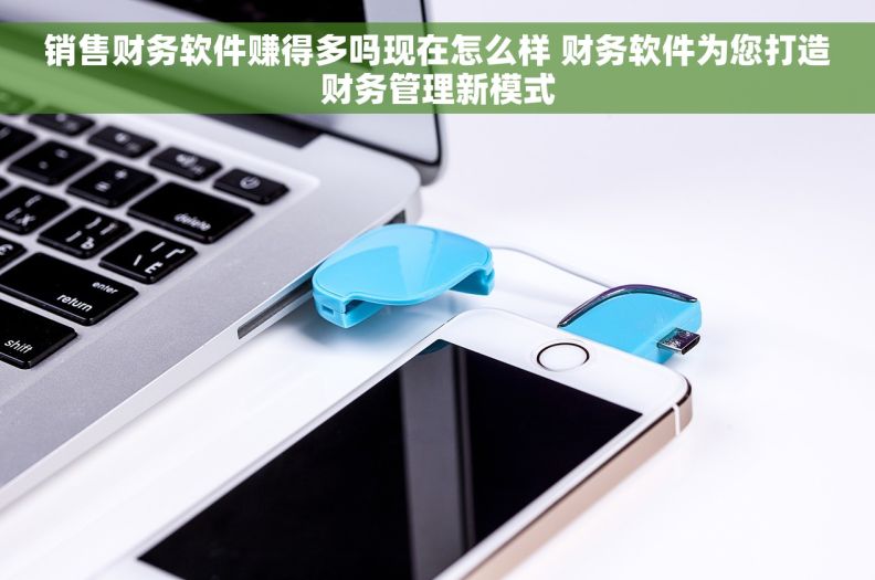 销售财务软件赚得多吗现在怎么样 财务软件为您打造财务管理新模式