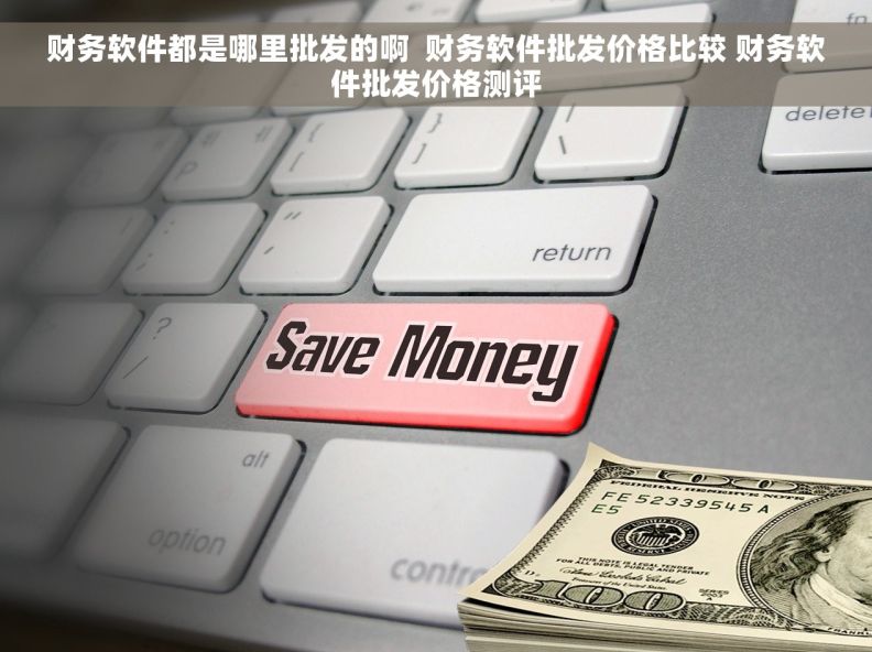 财务软件都是哪里批发的啊  财务软件批发价格比较 财务软件批发价格测评