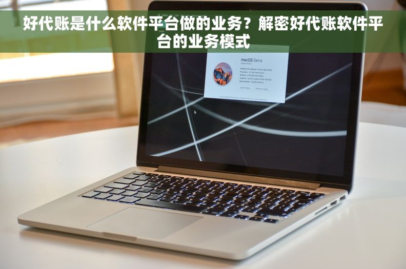 好代账是什么软件平台做的业务？解密好代账软件平台的业务模式